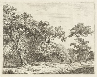Paisaje con árboles y un hombre en la carretera. de Adrianus Serné