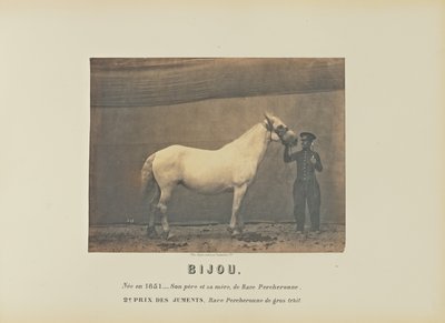 Bijou de Adrien Alban Tournachon