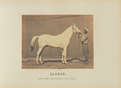 Blanco de Adrien Alban Tournachon