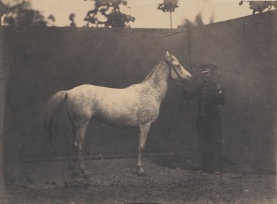 Pascaline de Adrien Alban Tournachon