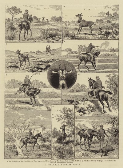 Caza de Nylghau en India de Adrien Emmanuel Marie