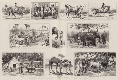 La gran feria de elefantes y caballos en Sonepur, Bengala de Adrien Emmanuel Marie