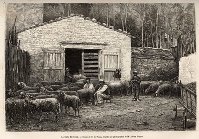 El comercio de ovejas, todo el personal de la granja estaba empleado en esta tarea, niño, sirviente, bajo la supervisión del pastor, grabado después de un dibujo de A.Marie, ilustrando un viaje a Roquefort y sus alrededores, por Adrien Roques y Jules Chart de Adrien Emmanuel Marie