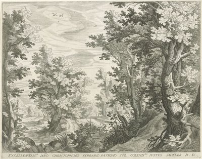 paisaje forestal de Egidius  Sadeler (II)