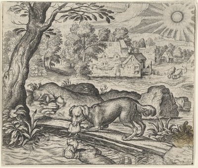 Fábula del perro y su reflejo de Egidius  Sadeler (II)