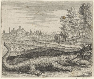 Fábula del cocodrilo y la mangosta de Egidius  Sadeler (II)
