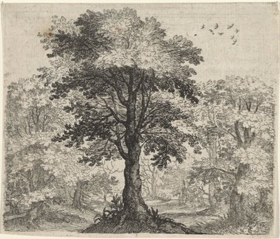 Fábula del olmo y el roble de Egidius  Sadeler (II)