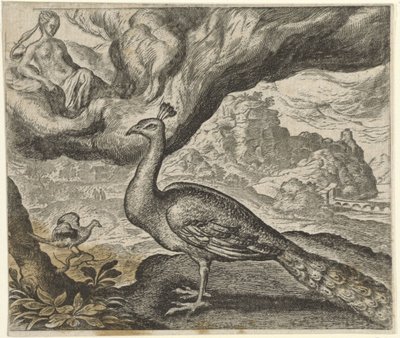 Fábula del pavo real y el ruiseñor de Egidius  Sadeler (II)