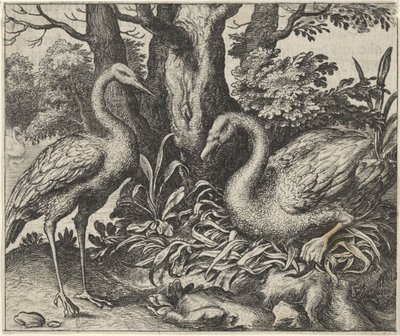 Fábula del cisne y la cigüeña de Egidius  Sadeler (II)