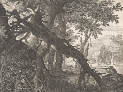 Un bosque con una caza de conejos de Aegidius Sadeler II