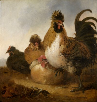 Un gallo y sus gallinas (óleo sobre tabla) de Aelbert Cuyp