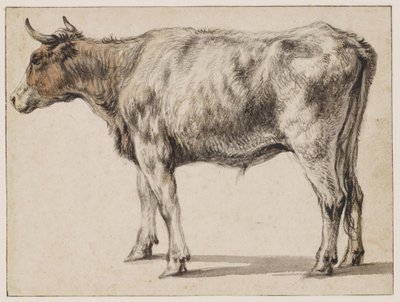  de Aelbert Cuyp