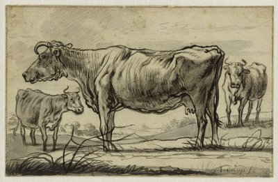  de Aelbert Cuyp