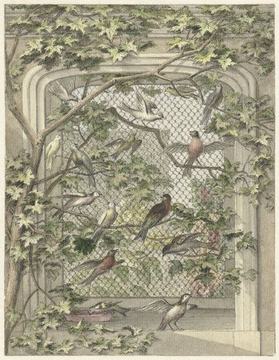 Aviario con catorce pájaros de Aert Schouman (possibly)