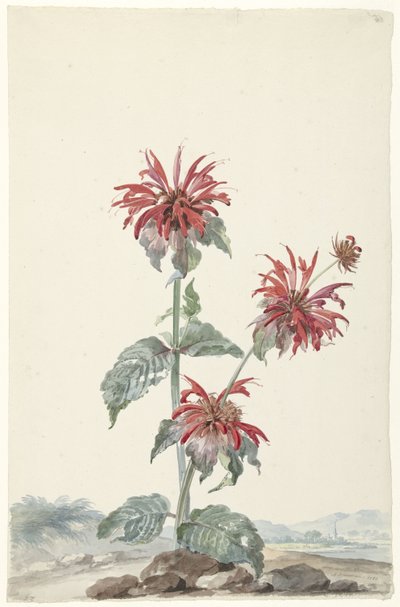 Una bergamota roja en un paisaje de Aert Schouman (signed by artist)