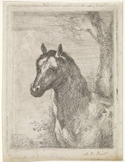 Cabeza de caballo de Aert Schouman (signed by artist)