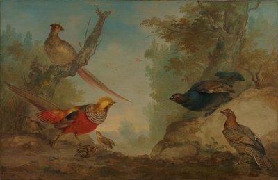 Faisanes de Aert Schouman