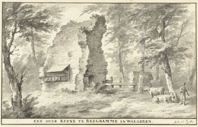 Ruinas de Brigdamme en Walcheren Una antigua ruina en Brigdamme en Walgeren (título sobre el objeto) de Aert Schouman
