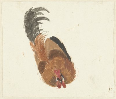 Estudio de un gallo muerto de Aert Schouman