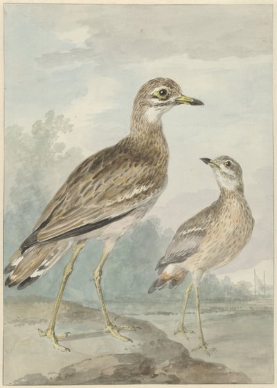 dos caprichos de Aert Schouman