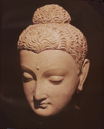 Cabeza de Buda, estilo greco-budista, de Hadda de Afghan School