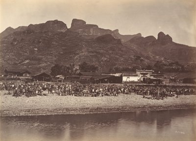 Mercado de patos, ca. 1869 de Afong Lai