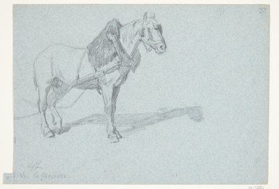 En hest de Agnes Lunn