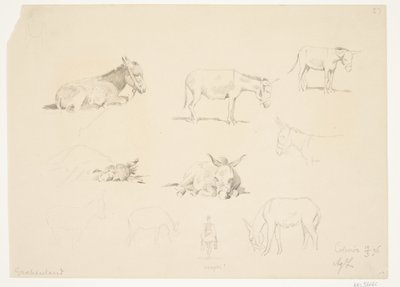Hoja de estudio con animales de Agnes Lunn