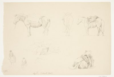 Estudio de caballos de Agnes Lunn