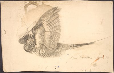 Estudio de un pájaro muerto de Agnes Slott Møller