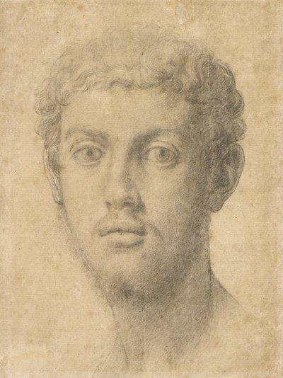 Cabeza de hombre de Agnolo Bronzino