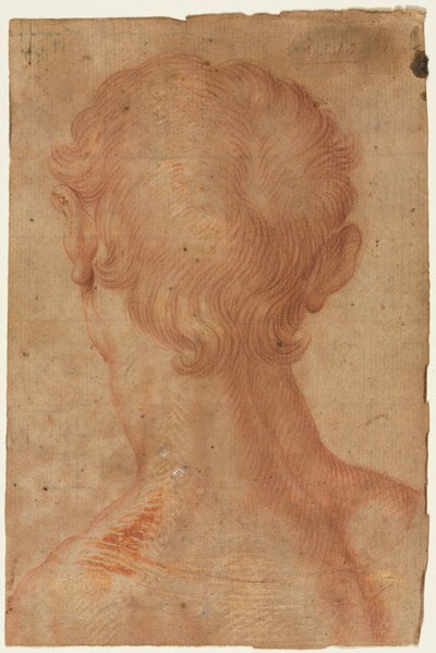  de Agnolo Bronzino