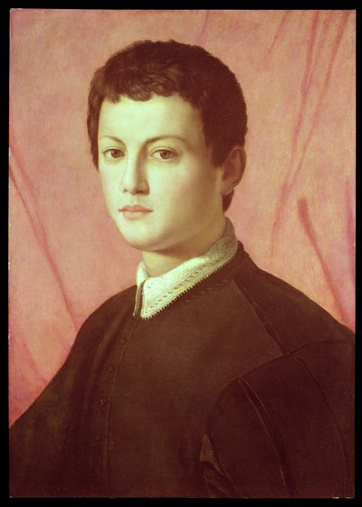 Retrato de un joven de Agnolo Bronzino