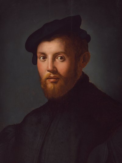 Retrato de un joven con un libro de Agnolo Bronzino
