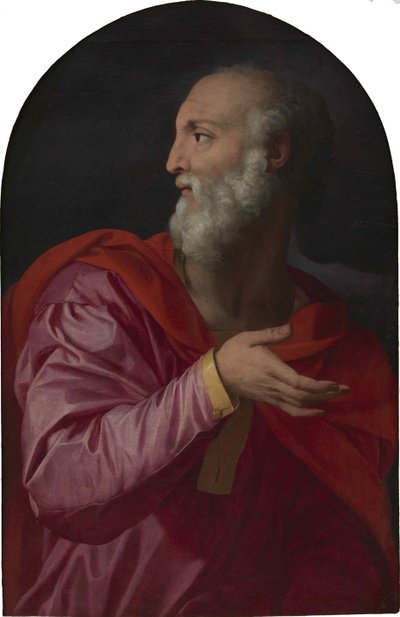 San Cosme, c. 1544 de Agnolo Bronzino