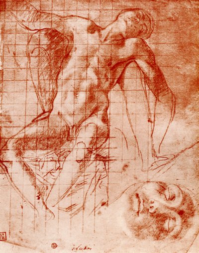 Estudios de Agnolo Bronzino