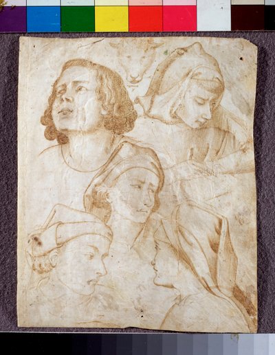 Cabezas de Agnolo Gaddi