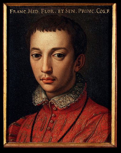 Retrato de Francisco I de Medici (1541-1587) Niño de Agnolo Bronzino