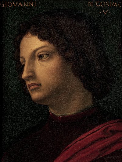 Retrato de Giovanni de Medici (Florencia) de Agnolo Bronzino