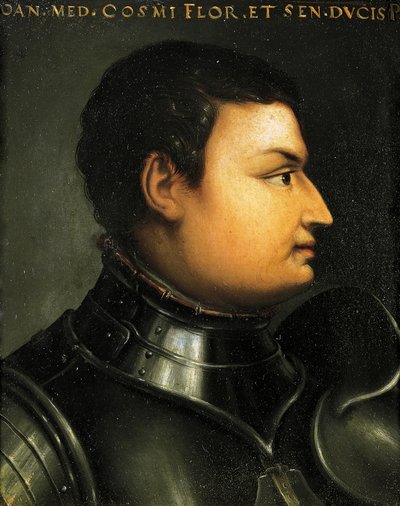 Retrato de Lodovico de Medici, también conocido como Giovanni dalle Bande Nere de Agnolo Bronzino