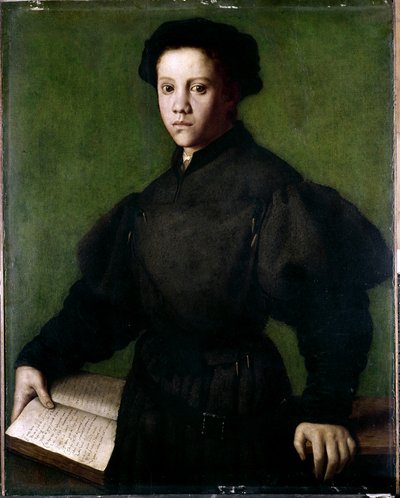 Retrato de un niño de Agnolo di Cosimo Bronzino