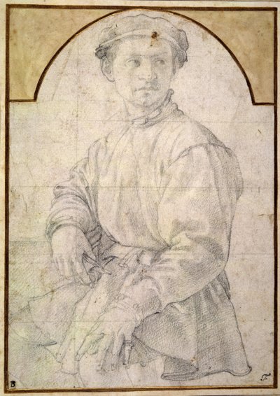 Estudio para un joven con un laúd de Agnolo Bronzino