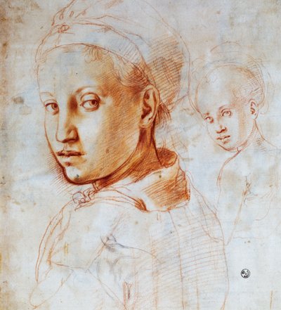 Cabeza de mujer joven, por Agnolo Bronzino (1503-1572), dibujo, Italia de Jacopo Pontormo