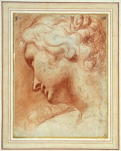 Cabeza de una joven mirando hacia abajo sobre su hombro derecho de Agostino Carracci