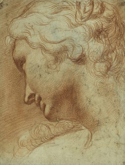 Cabeza de una joven mirando hacia abajo sobre su hombro derecho de Agostino Carracci