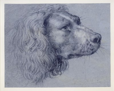  de Agostino Carracci