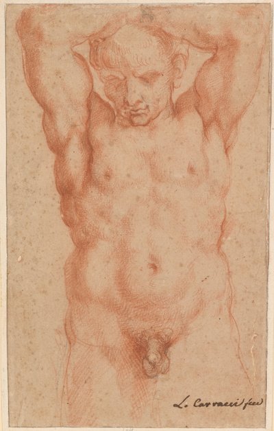 desnudo masculino de Agostino Carracci