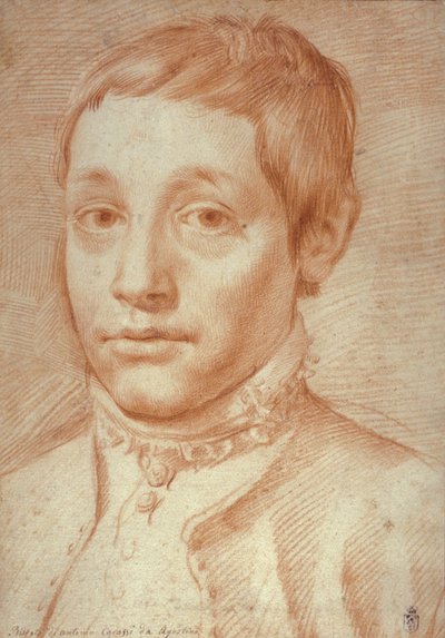 Retrato de su hijo, Antonio Carracci, 1592-95 de Agostino Carracci