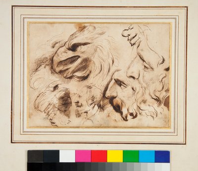 Hoja de Estudios con la Cabeza de un Águila y Perfiles y Caricaturas de Hombres de Agostino Carracci