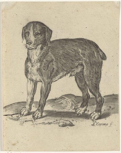 Perro de pie de Agostino Carracci